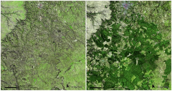 L'Uruguay è riuscito ad aumentare la superficie forestale, da 45.000 a 900.000 ettari. Tuttavia ha diminuito la diversità di animali e piante. Marzo 1975 - Febbraio 2009