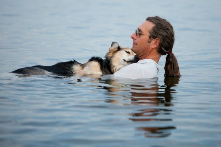 2. Il vecchio cane Schoep, con una grave forma di artrite poggia la testa sul petto del padrone, John Unger, che lo porta ogni giorno al lago per alleviare la malattia.