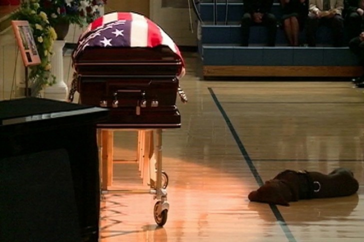 3. Il cane di un soldato morto in attesa vicino alla sua bara a Rochefort, Iowa, USA, 19 agosto 2011.