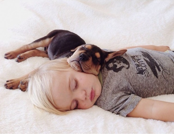 6. Ogni giorno Bo (2 anni) e il suo cane Teo si addormentano insieme. Sono così teneri che la mamma non può fare a meno di fotografarli.