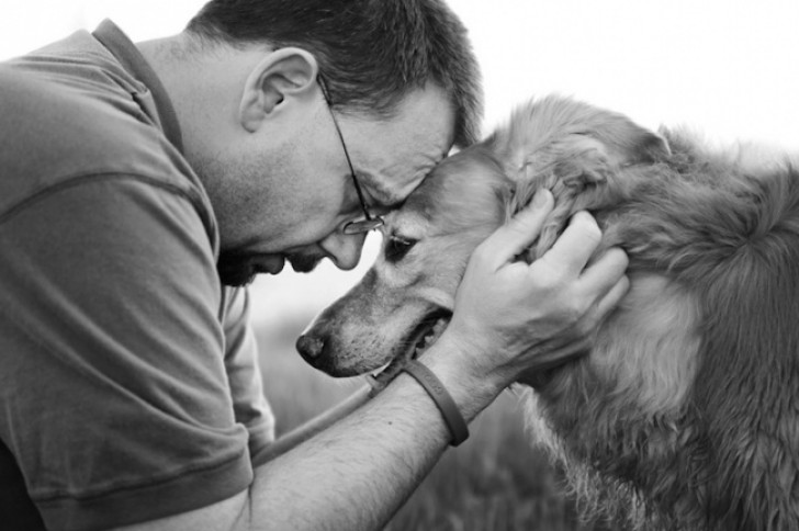 8. Il commovente momento in cui un cane morente e il suo padrone si dicono addio.