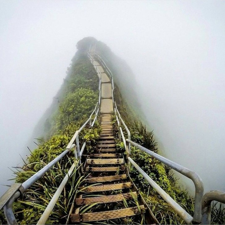 11. La scala al paradiso costruita nelle Hawaii, ad Oahu, una volta considerata un'attrazione turistica