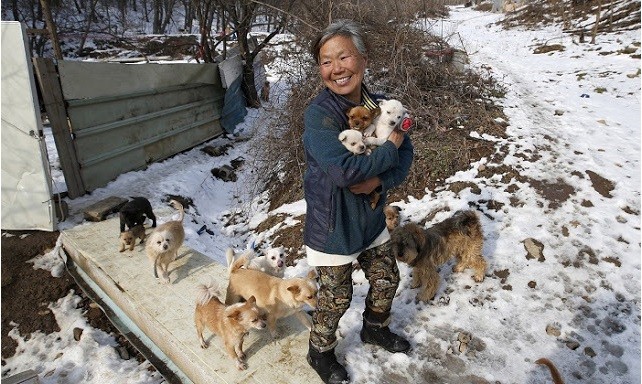 Ha dovuto cambiare casa ben 7 volte, a causa dei vicini che si lamentavano del continuo rumore che facevano tutti i suoi cani.