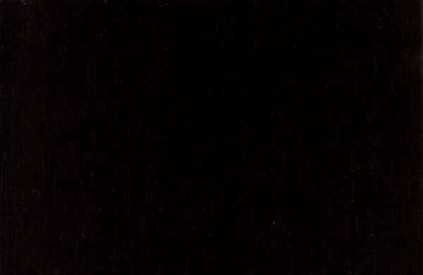 Immagine dell'Aurora Boreale scattata dalla Stazione Spaziale Internazionale