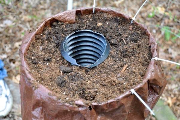 Fyll rörets utsida med jord och insidan med jord och gödsel (ni kan också sätta in kaffesumpar eller grönsaksavfall från köket).