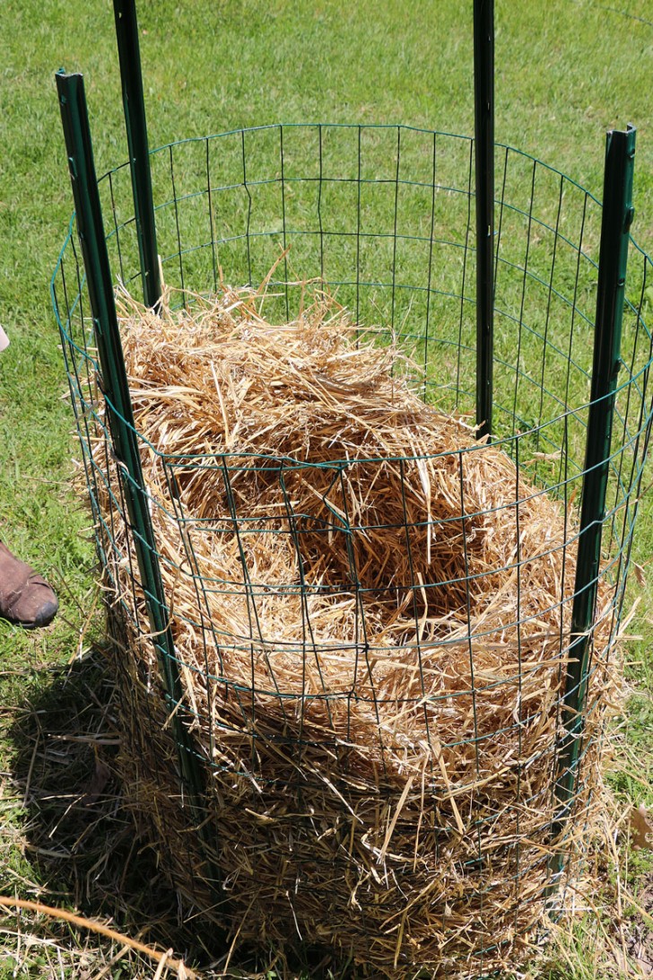 A l'intérieur de la « cage », ils ont mis de la paille de façon à obtenir une sorte de nid.