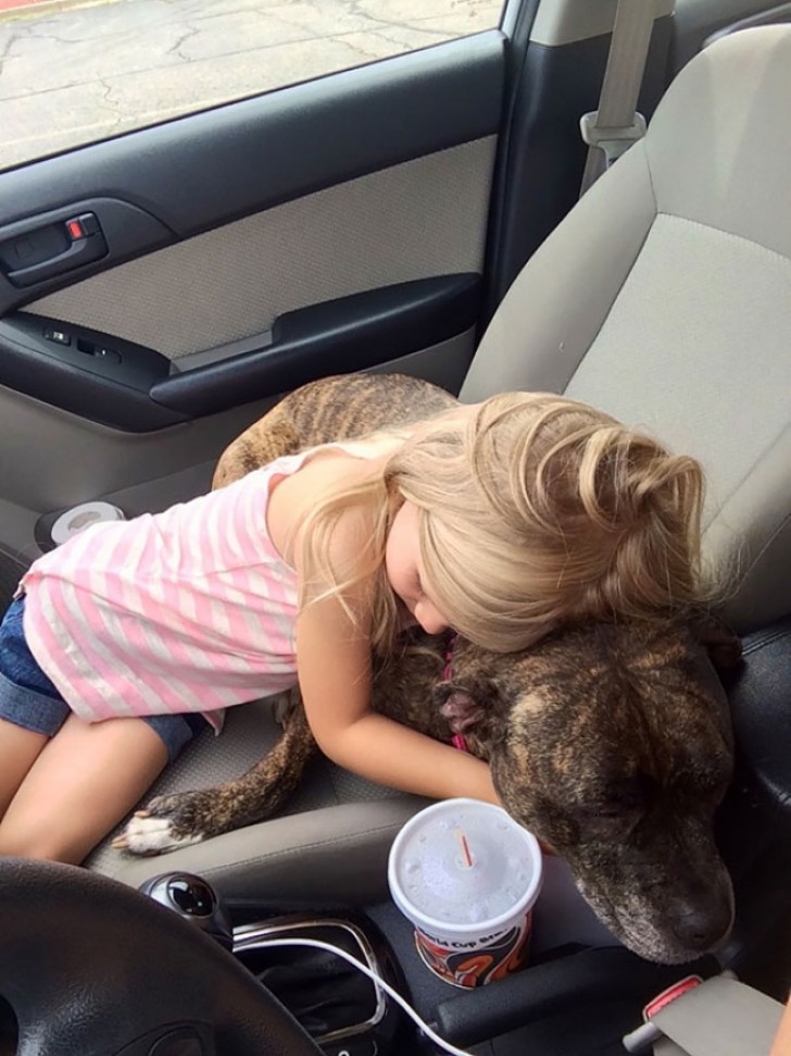 La piccolina sta accompagnando il suo cane dal veterinario. In realtà non è niente di grave, ma la bambina lo ha confortato e gli ha promesso un giocattolo, se fosse stato bravo e coraggioso.