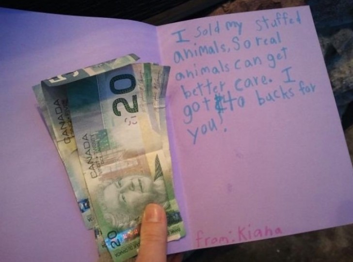 La piccola Kiana ha venduto i suoi peluche e ha donato il ricavato ad un rifugio di animali.