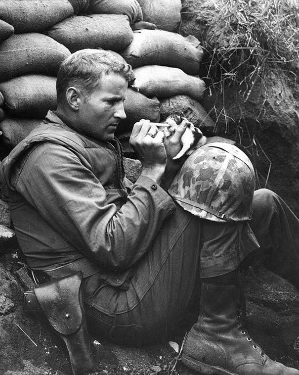 13. Un soldato salva un gattino durante la guerra di Corea.