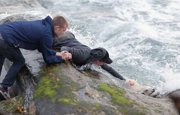 4. Due ragazzi norvegesi hanno fatto di tutto per salvare un agnellino che stava affogando, mettendo in pericolo la loro vita.
