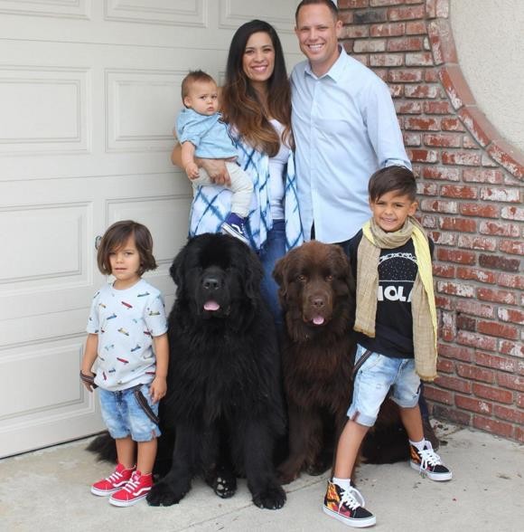 Questa è la famiglia Fisher, vive a Long Beach, in California: il papà intendeva comprare un cavallo, ma alla fine la scelta è ricaduta su due cani delle dimensioni di un orso.