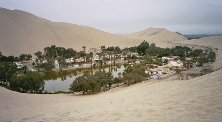 Ecco a voi una delle ultime oasi del deserto sudamericano: un paradiso con le ore contate - 14