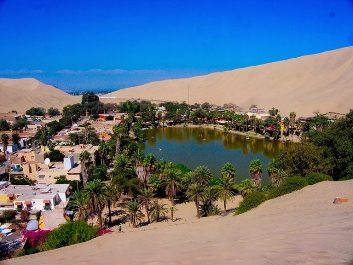 Ecco a voi una delle ultime oasi del deserto sudamericano: un paradiso con le ore contate - 2
