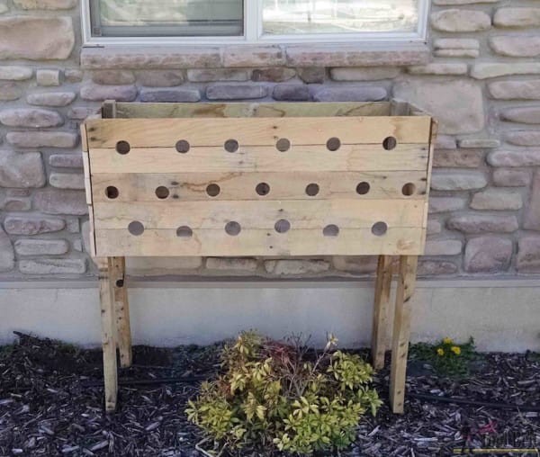 First, get yourself a large planter. Stan built his planter by himself with cedar pallets. Next, make 19 holes on the largest side, and also two holes on the smallest side.