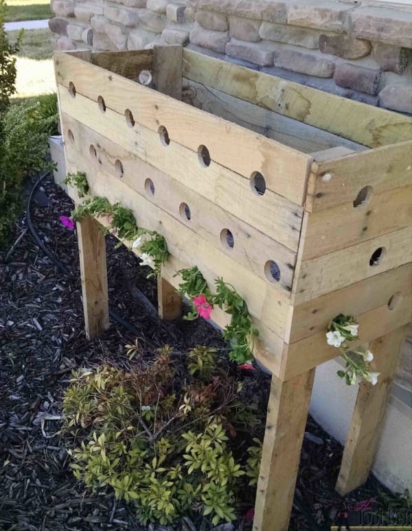 Pass the petunia plants through the holes, filling the front row. Then cover the roots with soil.