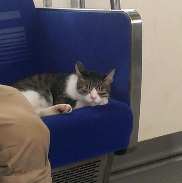 Ooit in slaap gevallen tijdens het reizen met openbaar vervoer? Hij doet het regelmatig!
