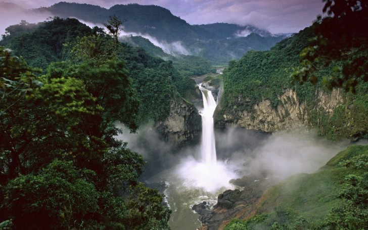 La Foresta Amazzonica si estende tra 9 paesi: Brasile, Perù, Colombia, Venezuela, Ecuador, Bolivia, Guyana, Suriname e Guyana Francese.
