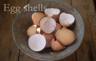 If your soil is low in calcium, or there is a plant in particular that needs calcium, then just wash some eggshells and let them dry for three days. Next, crush the dried eggshells well and then bury the crushed eggshells in the soil next to the plants.