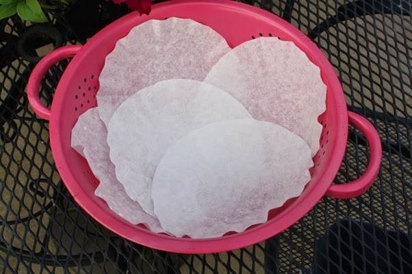 10. A colander lined with coffee filters is an ideal solution to retain moisture.