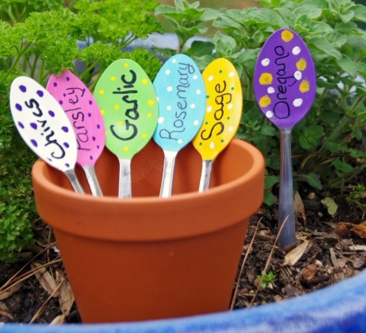 Next, you can decorate them and use them to write the name of the plant that you are cultivating. In addition to serving as name reminders, they will give your garden a more organized look.