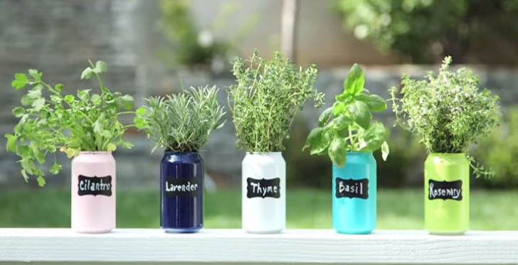 Use it to hold aromatic herbs, labeling each can with the name of the plant.