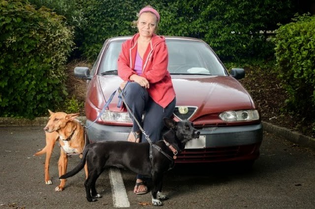 La previdenza sociale inglese le ha offerto un alloggio temporaneo di emergenza, ma c'è una regola ferrea: i cani non sono ammessi.