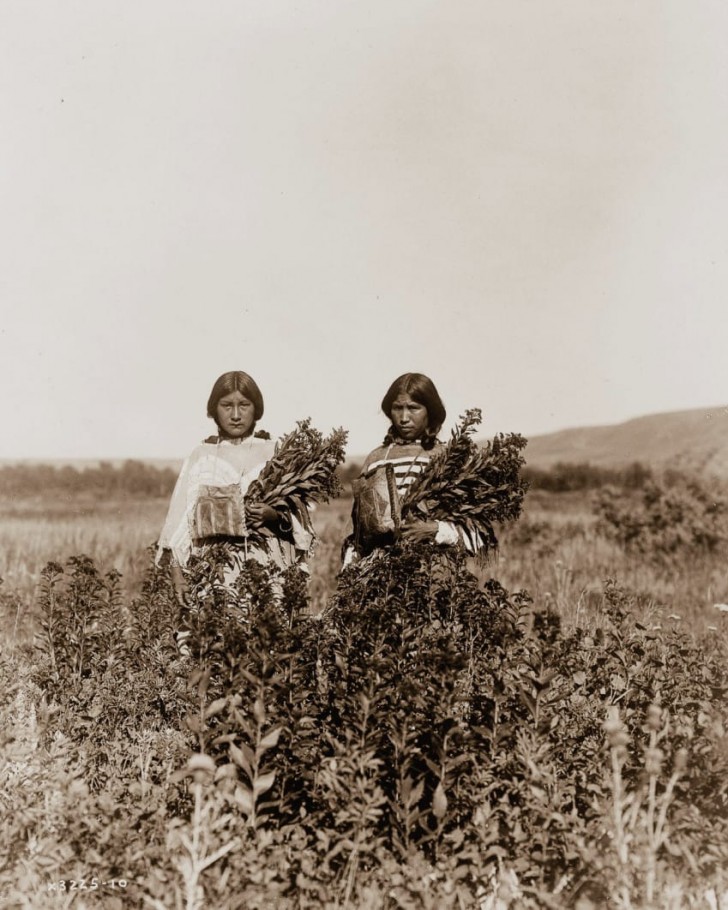 Mädchen auf dem Feld, 1910