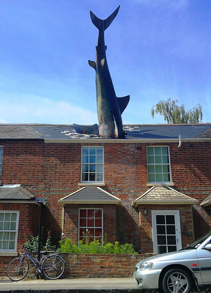 15. The Shark, Oxford, UK