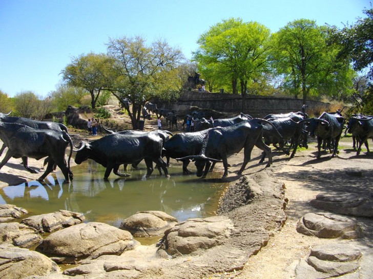 6. Cattle Drive, Dallas, Texas, USA