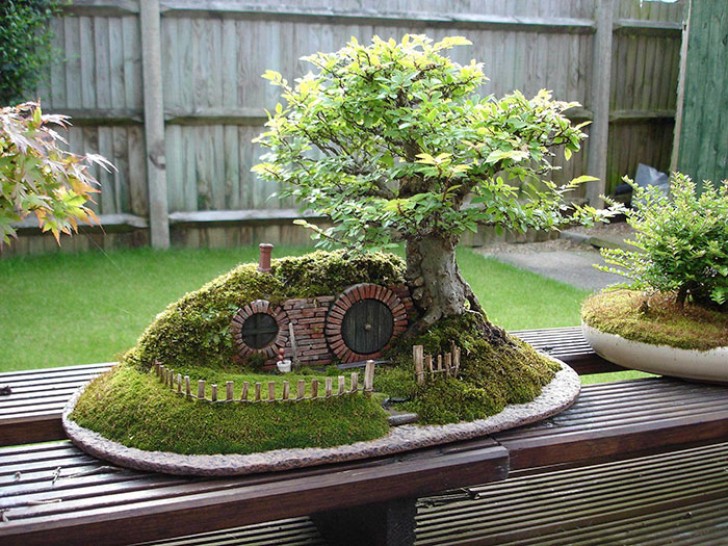 Bonsai con casa degli hobbit