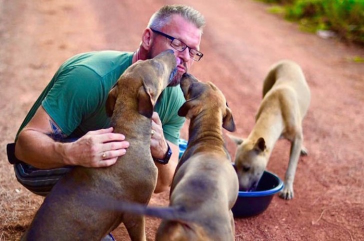 Michael J. Baines nutre circa 80 cani randagi al giorno a Chonburi, in Thailandia