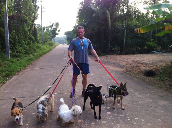Jusqu'à présent, il a aidé environ 40 chiens à trouver une nouvelle famille