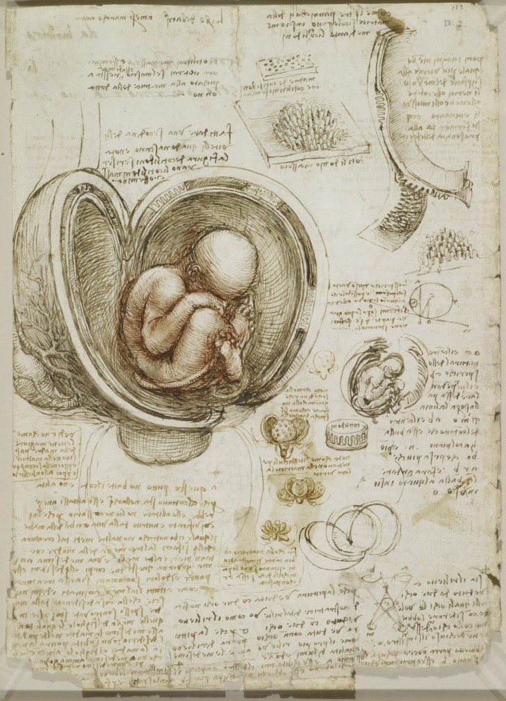 Les études anatomiques de Léonard de Vinci publiées: des dessins incroyables qui ont plus de 500 ans - 14