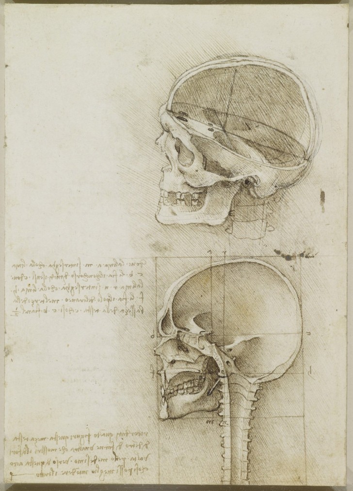 Les études anatomiques de Léonard de Vinci publiées: des dessins incroyables qui ont plus de 500 ans - 18