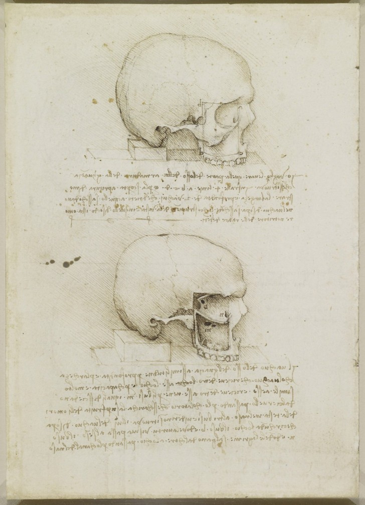 Les études anatomiques de Léonard de Vinci publiées: des dessins incroyables qui ont plus de 500 ans - 19