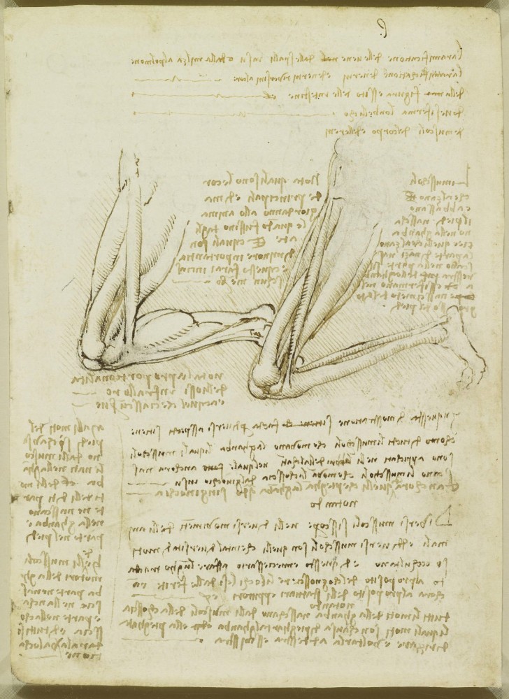 Les études anatomiques de Léonard de Vinci publiées: des dessins incroyables qui ont plus de 500 ans - 20