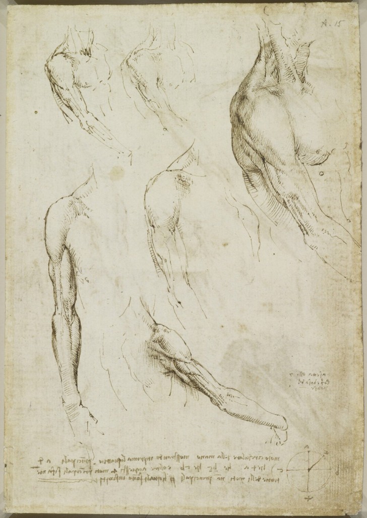 Leonardo's anatomische studies gepubliceerd: ongelooflijke ontwerpen van meer dan 400 jaar geleden - 21