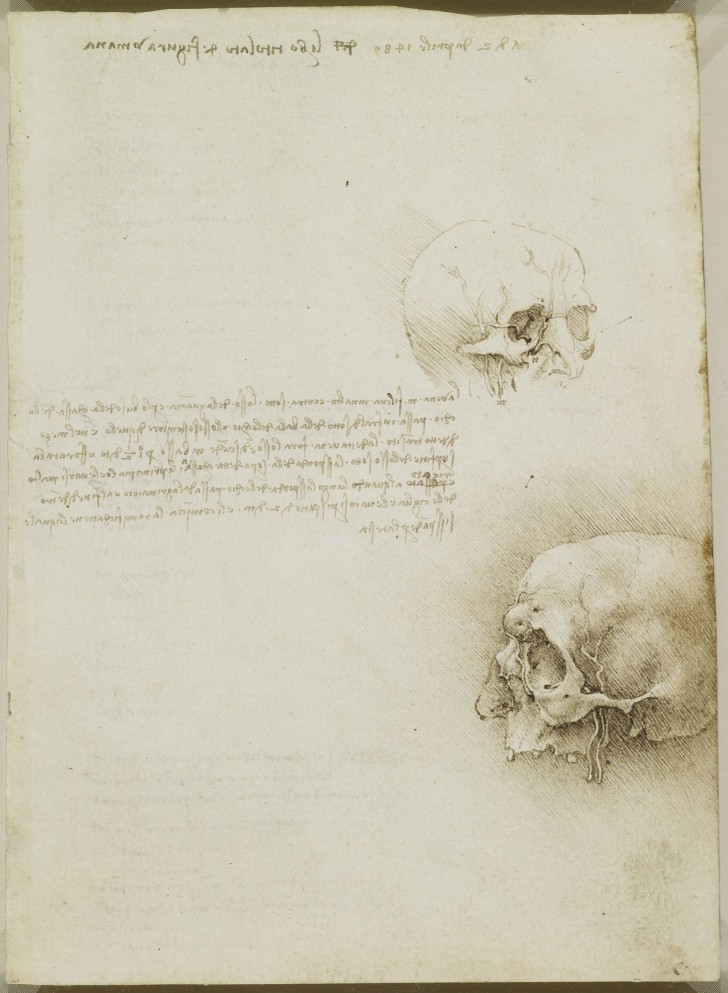 Les études anatomiques de Léonard de Vinci publiées: des dessins incroyables qui ont plus de 500 ans - 23