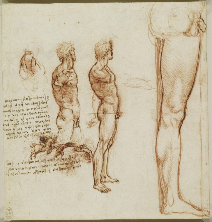 Les études anatomiques de Léonard de Vinci publiées: des dessins incroyables qui ont plus de 500 ans - 4