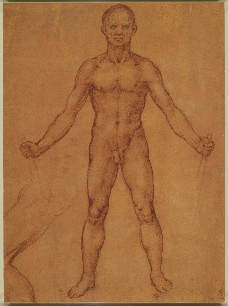 Leonardo's anatomische studies gepubliceerd: ongelooflijke ontwerpen van meer dan 400 jaar geleden - 5