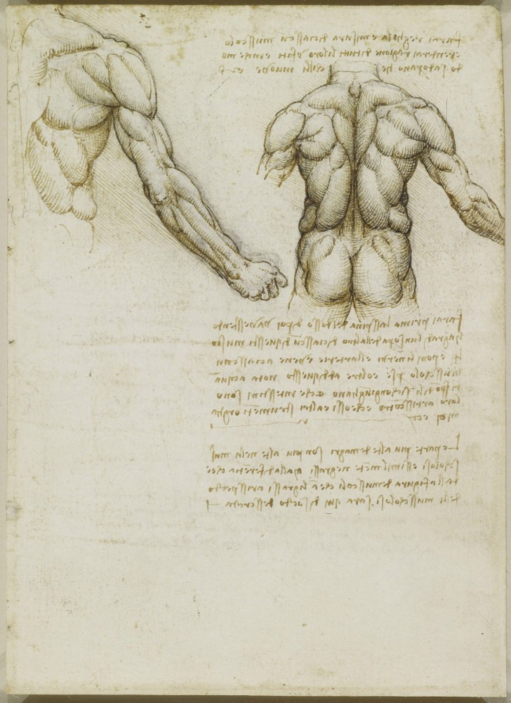 Les études anatomiques de Léonard de Vinci publiées: des dessins incroyables qui ont plus de 500 ans - 6