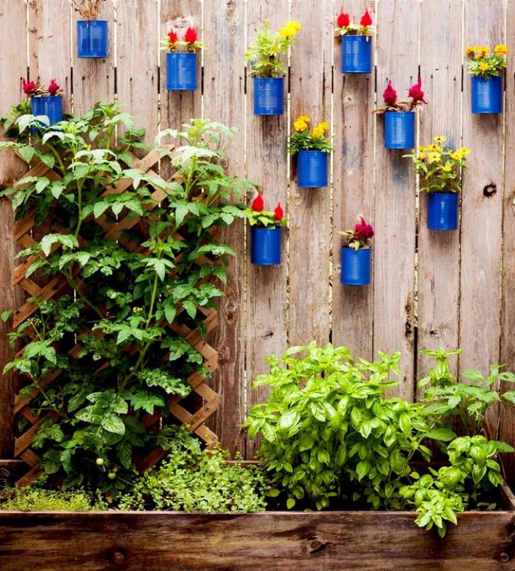 9. Recycling van metalen blikjes ... Gebruik ze als potten voor plantjes!