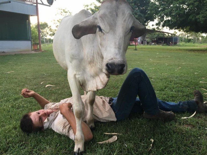 È nata nell'Agosto del 2015. Sua madre morì subito dopo il parto, lasciando orfano un cucciolo di soli 2 giorni.