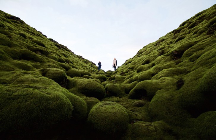 #1. Colata lavica islandese ricoperta di vegetazione