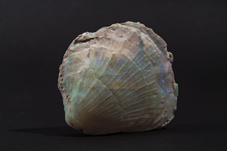 Alle opalen zijn kostbare stenen door de manier waarop ze ontstaan. Siliciumgel moet langzaam neerdruipen op lage temperatuur.