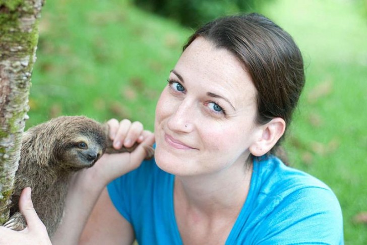 La presenza umana rappresenta una minaccia per i bradipi, ecco perché Sam Trull ha fondato lo Sloth Institute Costa Rica