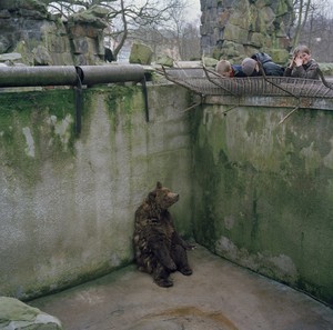 Sono trascorsi 15 anni da quando la foto di quest'orso è stata scattata: tuttavia ancora oggi gli orsi, e molti altri animali, sono detenuti in gabbie come queste.