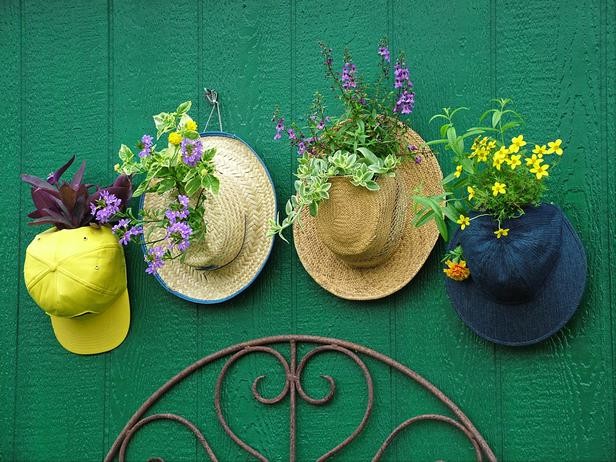 Dai vecchi cappelli spuntano delle piante colorate... 