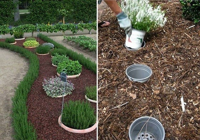 Un trucco interessante per coltivare le piante nei vasi senza renderli visibili. 