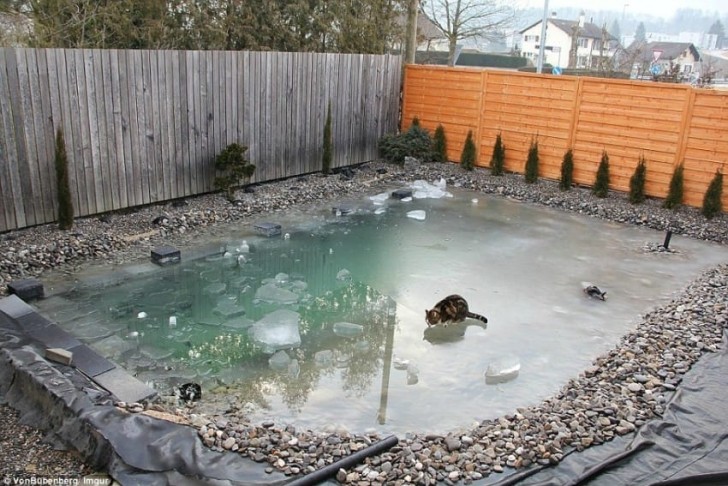 Durante l'inverno i lavori sono stati temporaneamente sospesi, poiché il freddo ha ghiacciato l'acqua della piscina